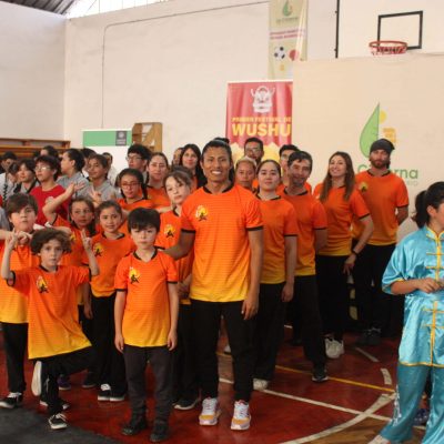 wushu