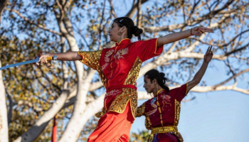 En La Cisterna se realizará Festival de Wushu