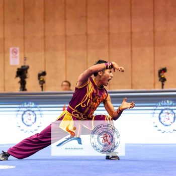 wushu